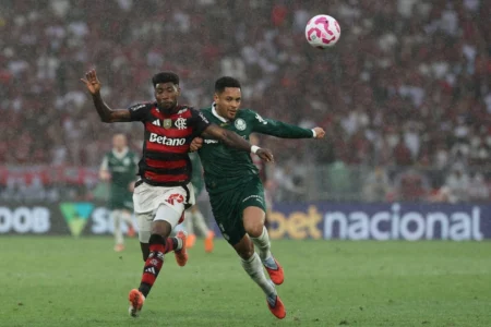 Relembre campanhas de Palmeiras e Flamengo na Libertadores