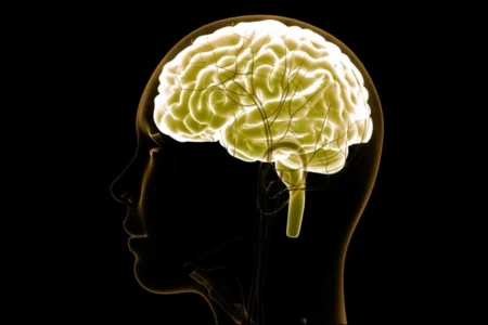 Especialistas explicam diferenças entre AVC isquêmico e hemorrágico