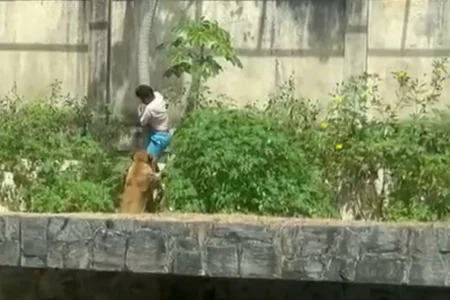 Jovem morto por leoa chegou a invadir pista de avião para ir à África