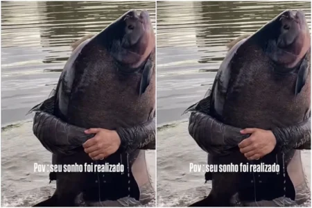 Pescador de 18 anos Captura Monstro dos Rios de 41 kg em Caldas Novas Hoje